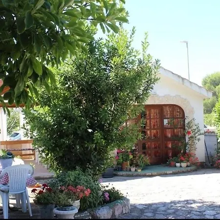 And By The Sea Brodarica, - 21536 Szybenik