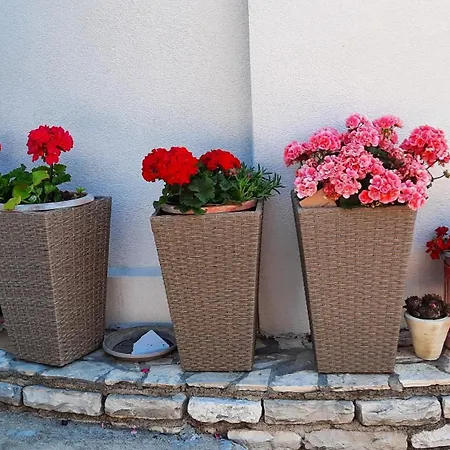 And By The Sea Brodarica, - 21536 Sibenik