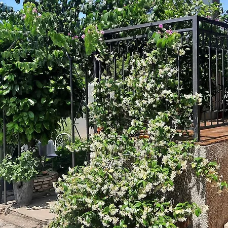 Gostinjska kuća And By The Sea Brodarica, - 21536 3*